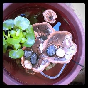 Custom watergarden with plant an pump